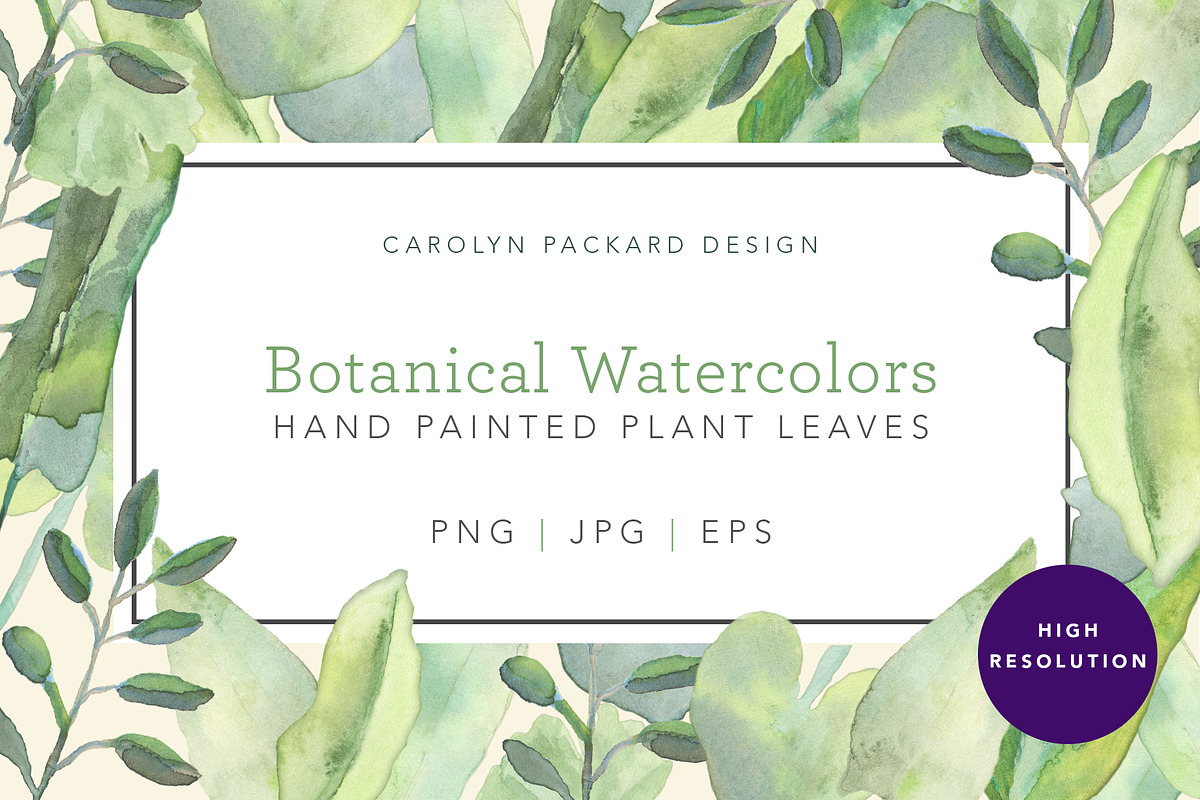 Botanical Watercolor Leaves, a Texture Graphic by Carolyn Packard Design (Photo 1 of 8)