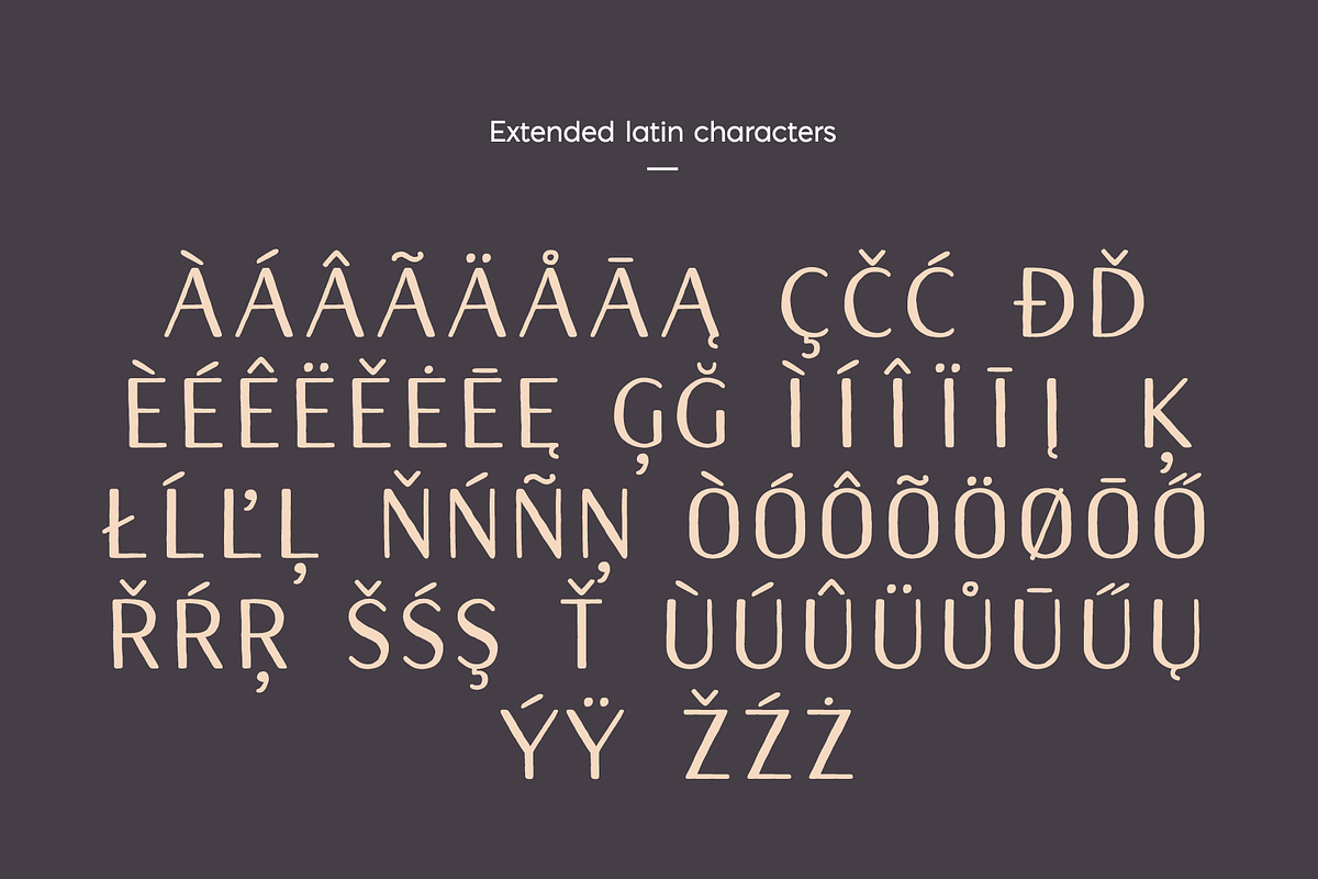 Naive Sans Bold & Shake, a Handwritten Font by S&C Type (Photo 4 of 6)