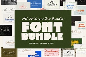 WHOLE SHOP FONT BUNDLE