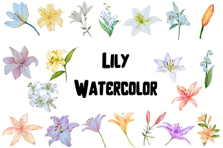 Watercolor Lily Clipart, a Decorative Illustration by Awieee1