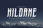 HILDANE, a Font by BringTypeStudio (Thumbnail 1 of 8)