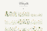 White Fields wildflowers flora, an Education Illustration by LiChu Art (Thumbnail 9 of 12)