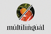 Arlita – Unique Ligature Font, a Serif Font by BrandSemut (Thumbnail 8 of 10)
