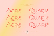 Cantilever Display Font, a Serif Font by PiiNK iiNK STUDiO (Thumbnail 4 of 13)