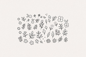 Hand Drawn Botanical Graphics