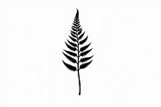 Elegant Fern Leaf Silhouette Bundle, an Illustration by Designs_River (Thumbnail 2 of 9)