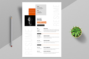 Professional Resume Layout, a Stationery Template by ContestDesign