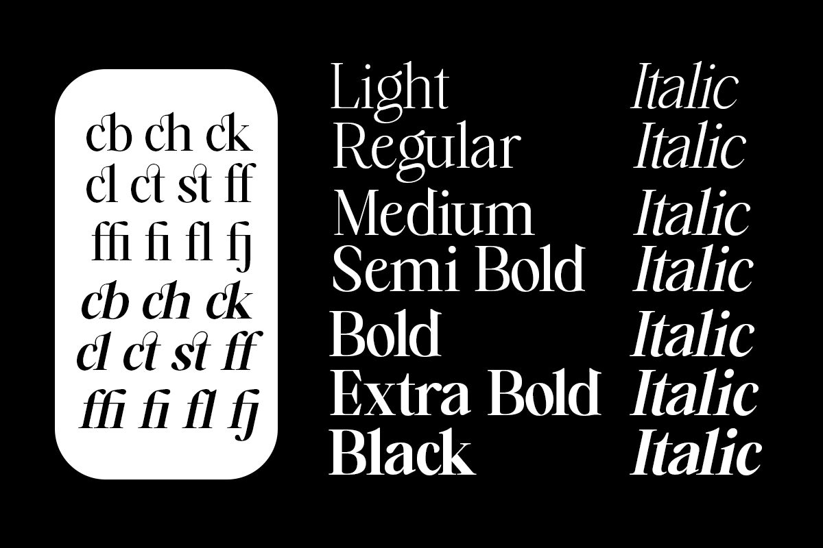 Falèfion – (14 Styles), a Serif Font by Madjack.font (Photo 11 of 11)