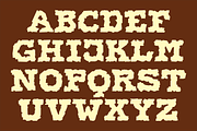 Display Brutal Font, a Serif Font by GG Design (Thumbnail 3 of 6)