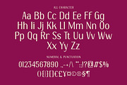 DT Maroon Champagne, a Handwritten Font by Dryy.type (Thumbnail 14 of 15)