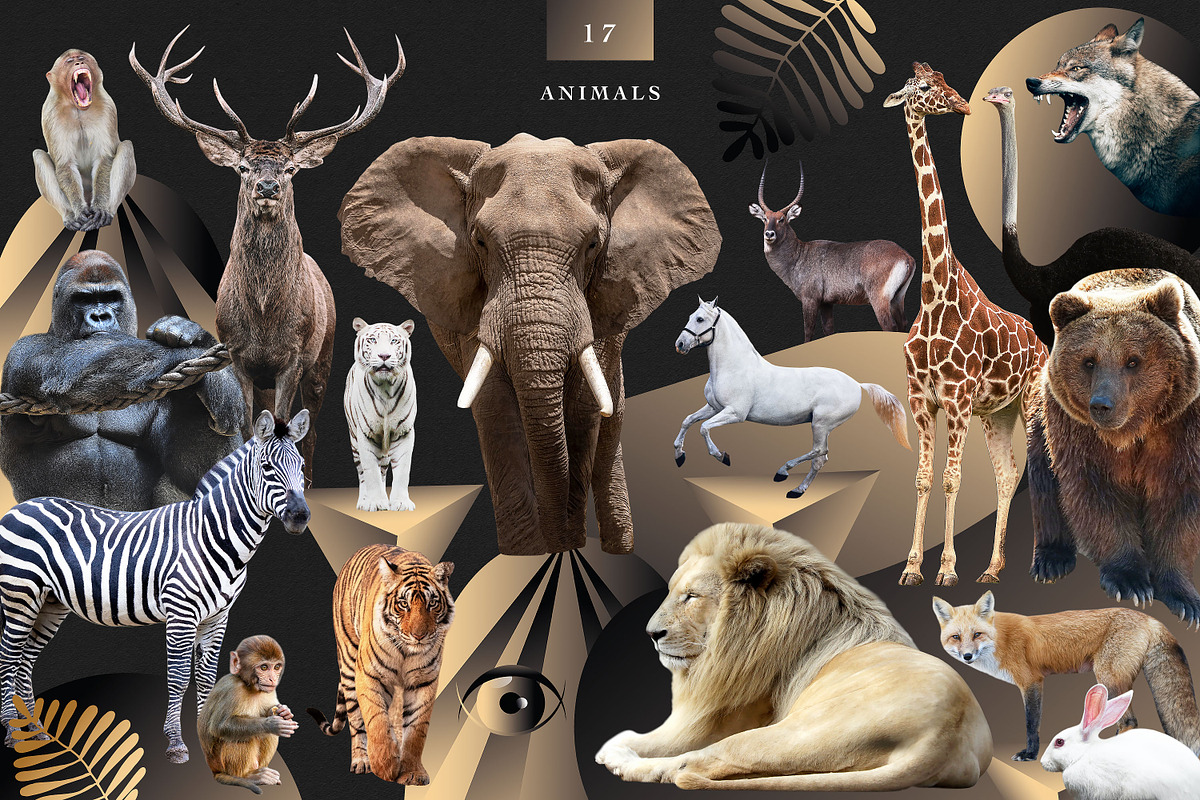 COLLAGE CREATOR «THE BEAUTY», an Object Graphic by WildStrawberry Magic (Photo 13 of 30)