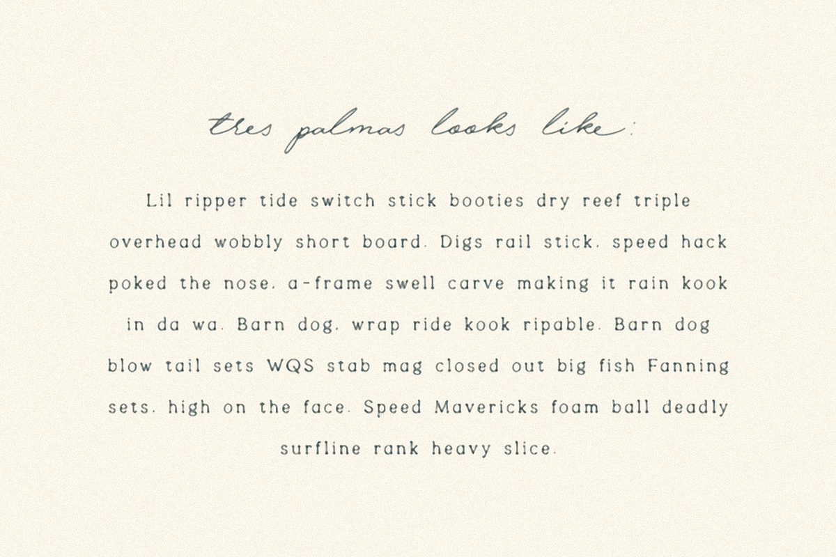 Tres Palmas, a Serif Font by Bruised Goods (Photo 3 of 6)