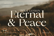 Chilton - Family Serif, a Serif Font by Marvadesign (Thumbnail 3 of 12)