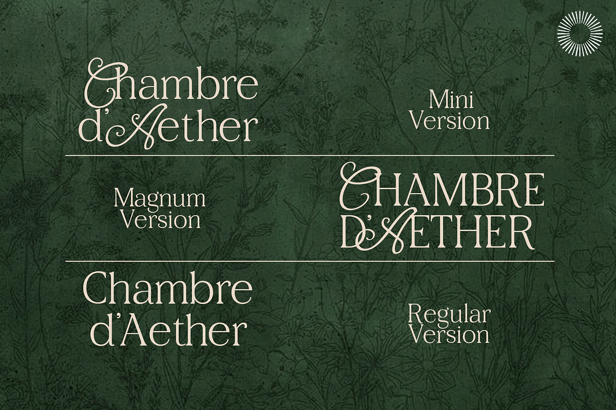 Aether Multi-Style Serif, a Serif Font by Setara Langit CreativeStd (Photo 2 of 11)