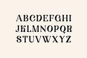 Brainstorm Retro Serif Display Font, a Serif Font by UICreative (Thumbnail 5 of 13)