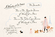 Weekend In Paris Font Duo, a Handwritten Font by Nicky Laatz (Thumbnail 14 of 22)