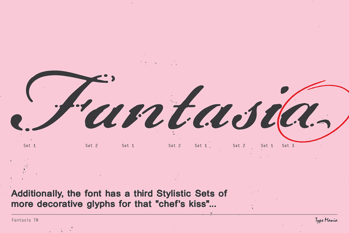 Fantasia TM – Dreamy Script, a Font by Type Mania (Photo 4 of 12)