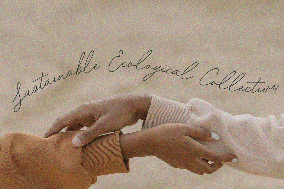 Forest Hill // Modern Script Font, a Script Font by PeachCreme (Photo 10 of 12)