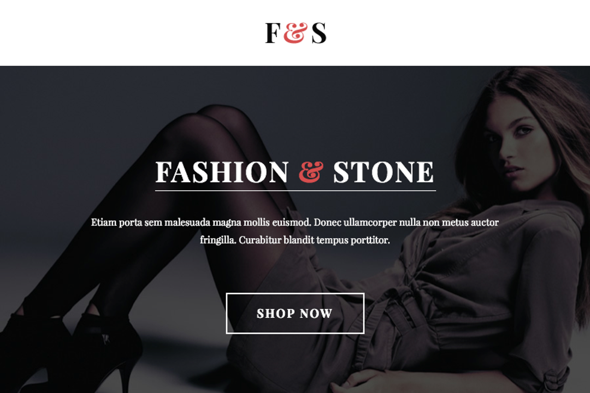 F&S + Online Template Builder, an Email Template by DynamicXX (Photo 2 of 2)