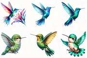 Cute Hummingbird Clipart, an Illustration by OK Design (Thumbnail 2 of 5)