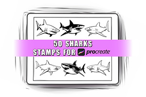 50 Sharks Procreate Stamps Brushes