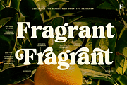 Blood Orange Vintage Serif, a Serif Font by Fenotype (Thumbnail 3 of 16)