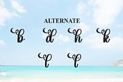 Beach Summer | Script Font, a Handwritten Font by Scratchones (Thumbnail 8 of 9)