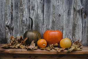 autumn still life concept pumpkins, a Holiday Photo by VetalStock