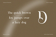 Classical Premiera, a Serif Font by Zafiratype (Thumbnail 14 of 16)