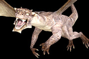 Flying dragon, an Object Graphic by FlyOk (Thumbnail 3 of 3)
