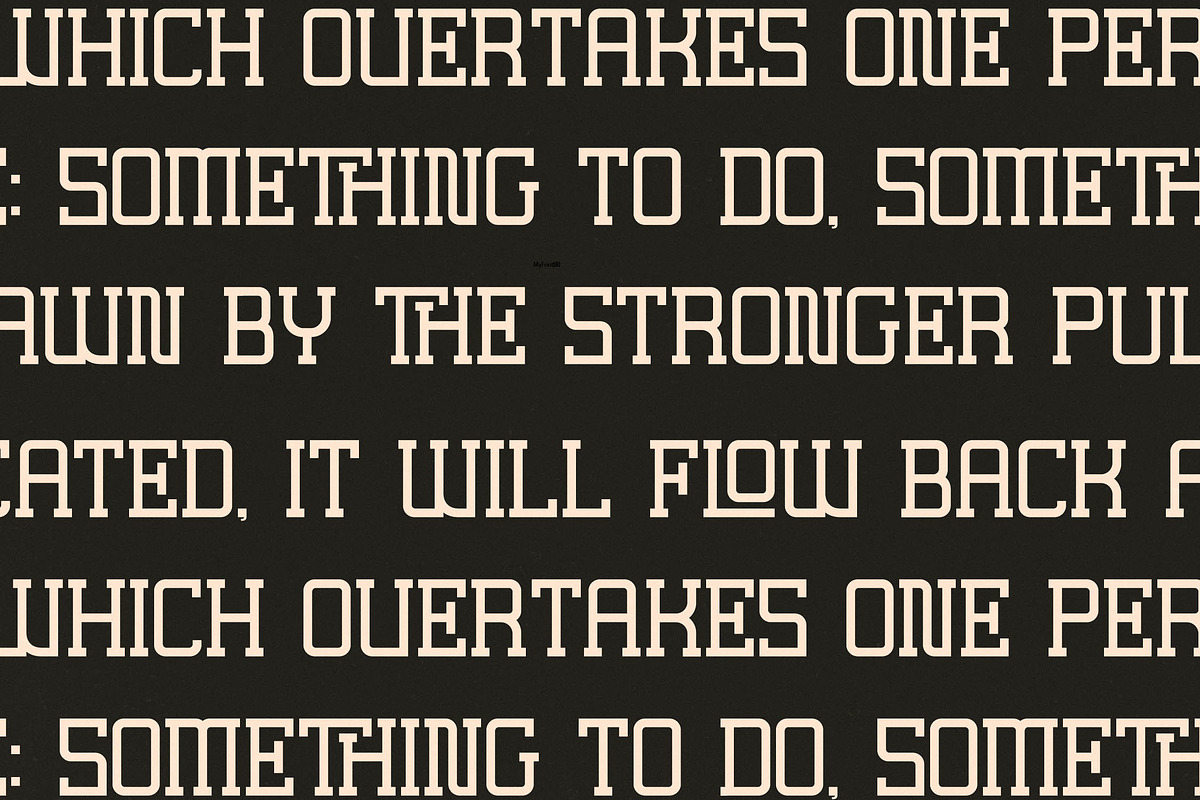 Lastime Echoes Display Slab Serif, a Serif Font by Letterena Studios (Photo 3 of 15)