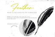 VINTAGE FEATHER, an Illustration by Friendly Label (Thumbnail 2 of 2)