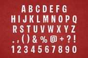 Chicago Bulls, a Slab Serif Font by Fourteen Letter (Thumbnail 3 of 6)