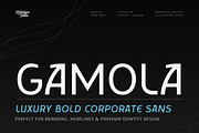 Gamola – Luxury Bold Corporate Sans, a Sans Serif Font by Lettertype Studio (Thumbnail 1 of 10)