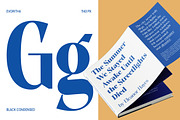 Evoritha, a Serif Font by Propertype (Thumbnail 7 of 16)