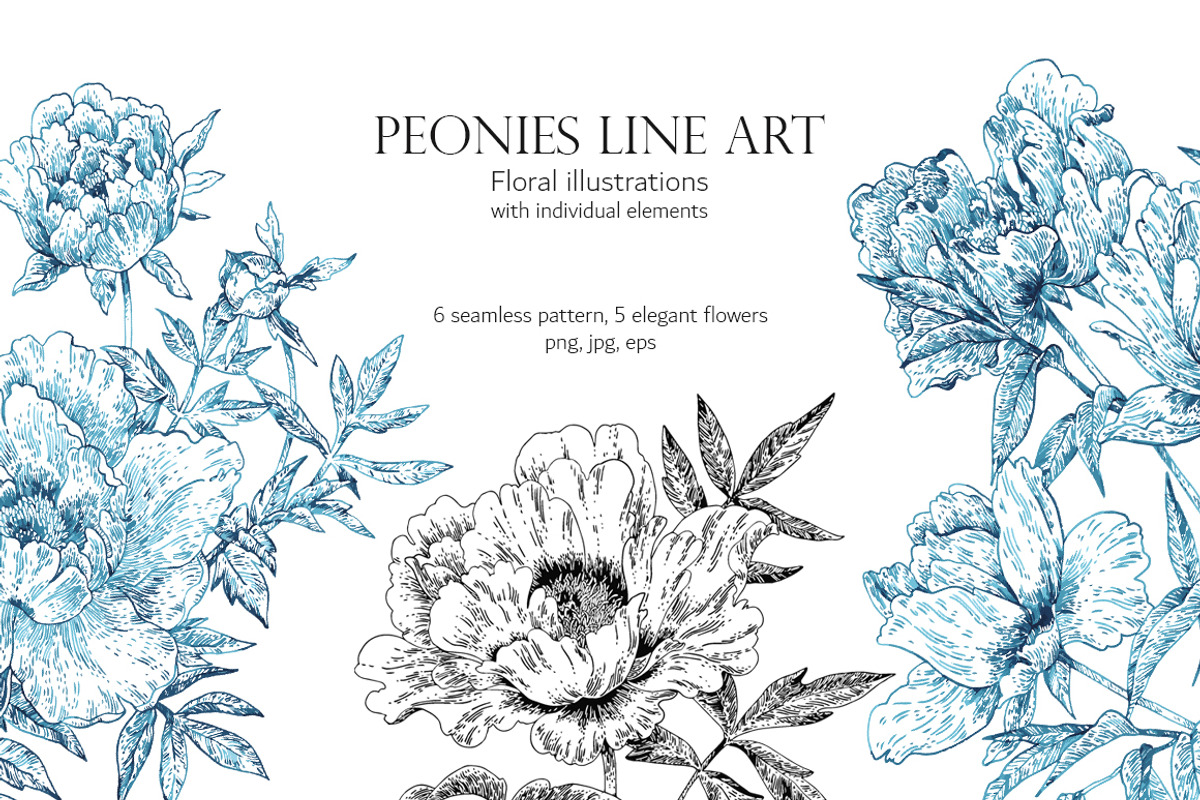 Peonies Line Art, a Decorative Illustration by Anastasia (Photo 1 of 9)