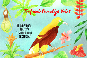 Tropical Paradise Vol.1