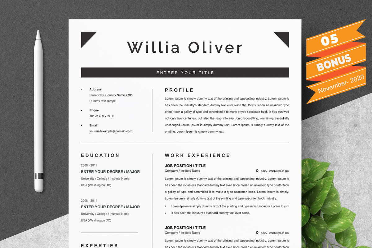 Resume/CV Bundle | 200+ for $29, a Resume Template by ResumeInventor (Photo 146 of 207)