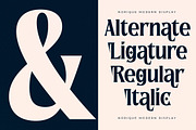 Norique Modern Display Typeface, a Serif Font by Letterena Studios (Thumbnail 4 of 15)