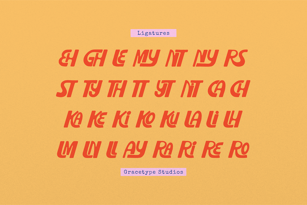 Vinyl Player | Playful Hand Drawn, a Handwritten Font by gracetype_studio (Photo 12 of 12)
