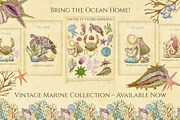 Marine Naturalist Collection, a Graphic by Kattypainting (Thumbnail 10 of 10)