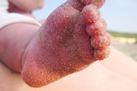 Sandy baby foot portrait featuring baby, foot, and sand preview 6
