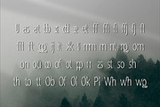 Eagle's Flight | Natural Sans Serif, a Sans Serif Font by Mr.Typeman (Thumbnail 6 of 7)