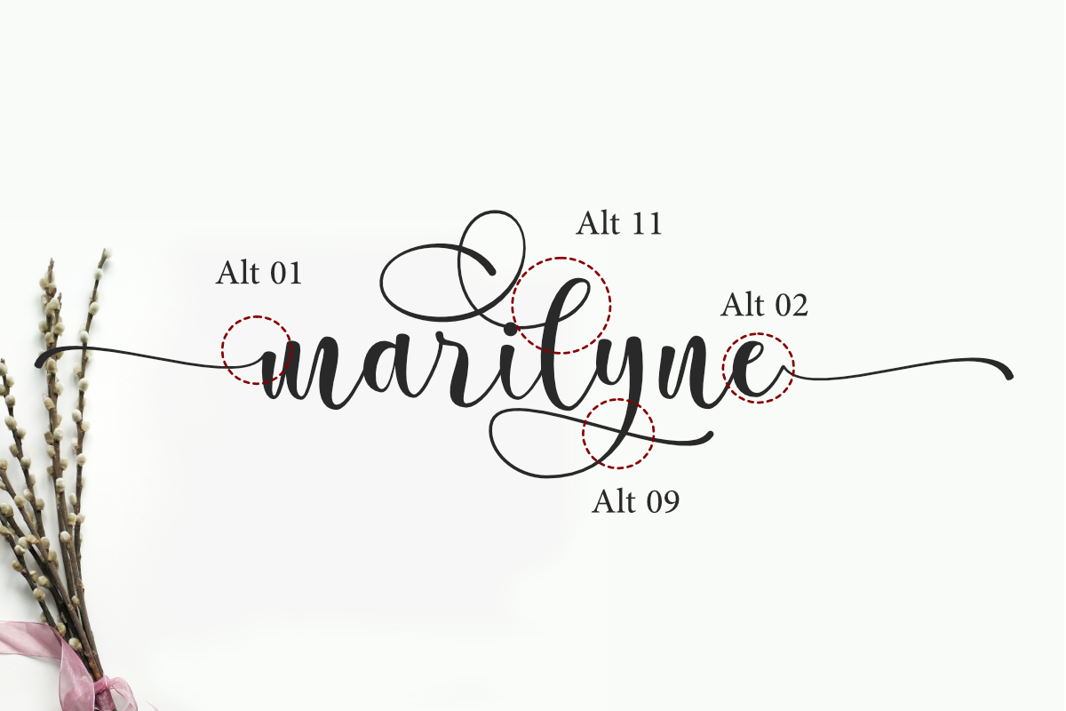 Marilyne -  Modern Calligraphy, a Script Font by Silverdav (Photo 6 of 9)