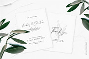 Olive Branches & Botanical Patterns, a Decorative Illustration by Pigment Café (Thumbnail 6 of 10)