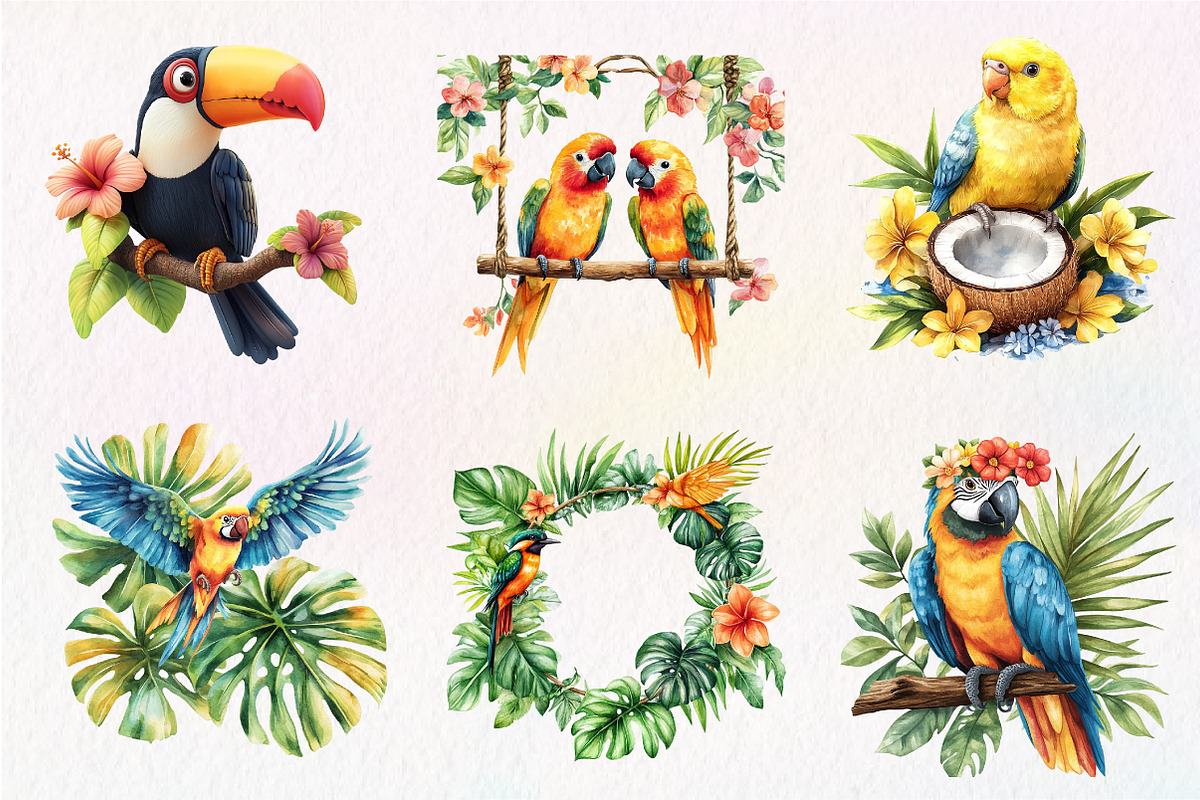 Tropical Bird Png, Jungle Bird Clipa, an Illustration by CreationArt (Photo 8 of 9)