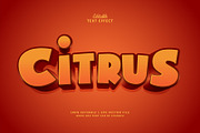 Text Effect Citrus, a Layer Style Add-On by Navy Graphic (Thumbnail 1 of 2)
