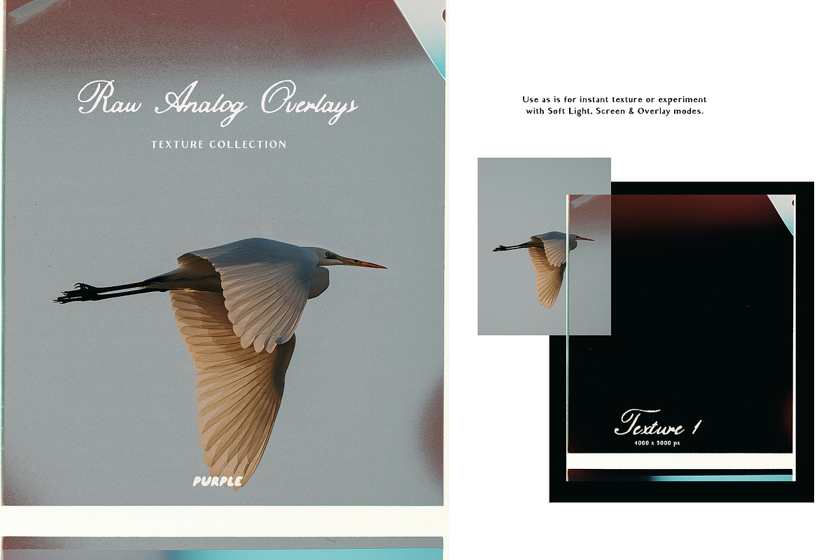 Raw Analog Texture Overlays, a Texture Graphic by Purple (Photo 16 of 31)