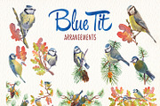Watercolor blue tit bird clipart, an Illustration by Art & Things (Thumbnail 5 of 8)