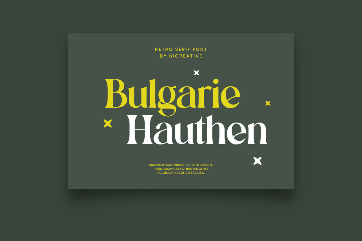 Aluvion Display Modern Serif Font, a Serif Font by UICreative (Photo 9 of 12)